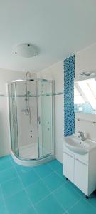a bathroom with a glass shower and a sink at Krkavčina wellness apartmán - velký in Náchod +6 photos