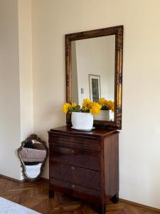 Galeriebild der Unterkunft charming & lovely apartment downtown in Timişoara