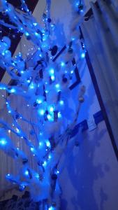 a blue christmas tree with lights on it at Rancho da Raposa in Campos do Jordão +95 photos