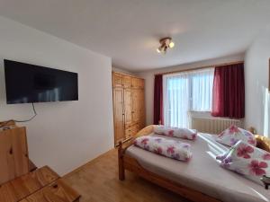 TV a/nebo společenská místnost v ubytování Ferienhaus Bernadette