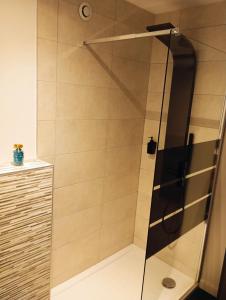 a shower with a glass door in a bathroom at Balnéo SPA Allevard in Allevard