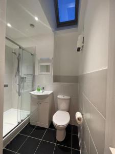 ein Badezimmer mit Toilette, Dusche und Waschbecken in der Unterkunft Braunton Breaks - North Beach Cottage in Braunton + 27 Fotos