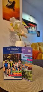 Fotografia z galérie ubytovania Apartament cynamonowy v destinácii Grudziądz