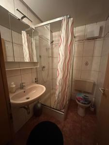 Un baño con ducha, lavabo e inodoro. en Hudolin-Vermietungen, en Gundelsheim
