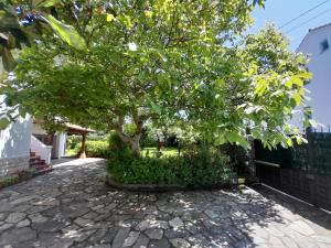 a tree in the middle of a stone walkway at Casa de vacaciones en Pedreña, Cantabria in Pedreña