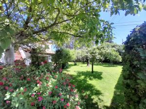 a garden with pink flowers and trees at Casa de vacaciones en Pedreña, Cantabria in Pedreña