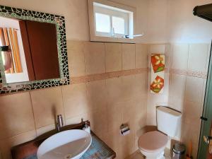 a bathroom with a toilet and a sink and a mirror at Solar del Mar in Praia do Rosa +35 photos