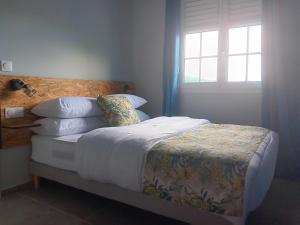Postel nebo postele na pokoji v ubytování Villa Pool & Beach Martinique