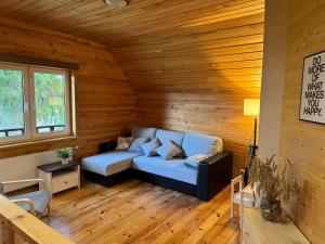 a living room with a blue couch in a wooden room at Brīvdienu māja Straumēni in Pāle