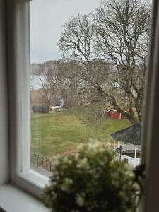 Zahrada ubytování Smålandsgården + 37 fotografií