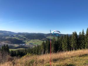 a pole on a hill with a view of a valley at Ferienwohnungen am Schneeberg in Titisee-Neustadt +71 photos