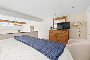 a bedroom with a bed and a tv and a dresser at 342 Edgewater Inn in Charlevoix