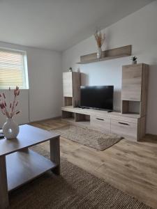 TV a/nebo společenská místnost v ubytování Cozy Apartment