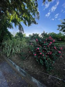 Zahrada ubytování L'Escapade Naturelle