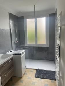 une salle de bain avec une douche et un lavabo et une fenêtre dans l'établissement Maison individuelle, à Dhuizon