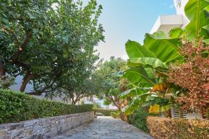Zahrada ubytování Sentido Kyknos Beach Adults Only