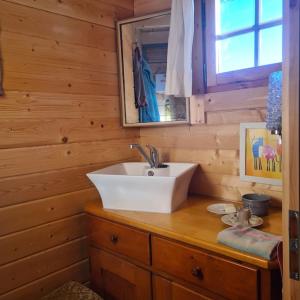 a bathroom with a sink in a wooden cabin at Holzhütte allein am Waldrand in Saldenburg +34 photos