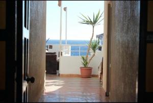 Fotografie z fotogalerie ubytování Golden Europe Hotel v destinaci Dahab