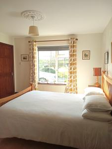 Room in Wexford 객실 침대