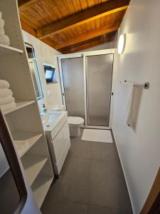 a small bathroom with a shower and a toilet at Quinta das Rosas 6 Amaizing Seaview Trekking Beach in Estreito da Calheta +27 photos