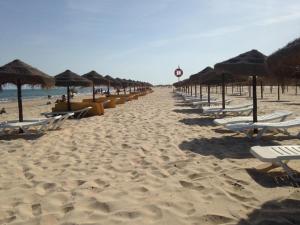 a row of chairs and umbrellas on a beach at T1 Manta Rota in Manta Rota