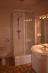 a bathroom with a shower and a toilet and a sink at Hohwachter Hof in Hohwacht