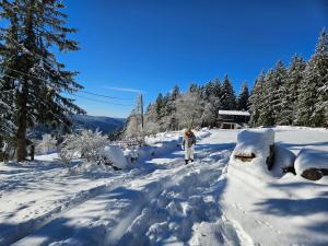 Chalet Perle des Hauts v zimě