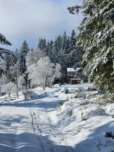 Chalet Perle des Hauts v zimě