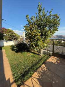 Naturlandskabet i nærheden af feriehuset