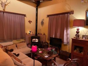 - un salon avec un canapé et une cheminée dans l'établissement Casa del Maestro, à Paradinas