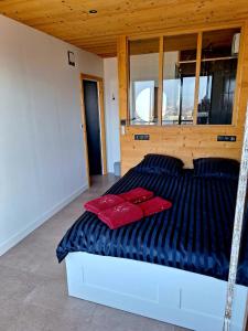 a bed with two red pillows on it in a room at Sommet Centenaire Hyper-centre in Chambéry