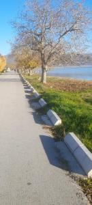 a sidewalk with a tree on the side of a road at Apartment LUX in Struga