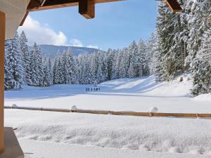 Chalet Märchenblick v zime