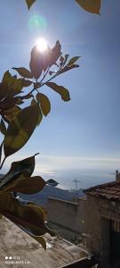 a flower on a branch with the sun in the sky at Rose Garden Cottage in Katochori