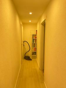 a hallway with a vacuum in a room with a book shelf at GraceHomes (Entry to Blackforest) in Jettingen