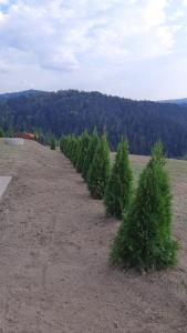 Paesaggio naturale nelle vicinanze of country house