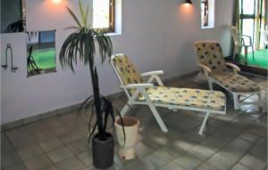 a living room with two chairs and a potted plant at Færgegaard in Arup