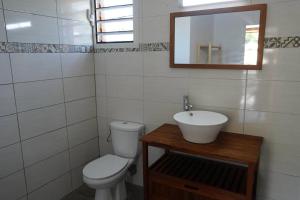 une salle de bain avec toilettes, lavabo et miroir dans l'établissement Carbet,bord de mer, à Le Carbet
