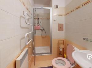 チャドツァにあるApartmán JARMONのシャワー、トイレ、洗面台を備えたバスルーム