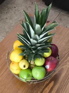 Foto dalla galleria di La casa de Luna a Puerto Vallarta