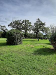 a field of green grass with trees in the background at Gîte La Petite Roche in Arthon
