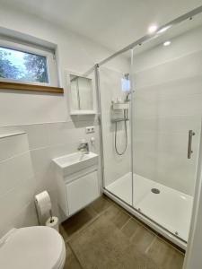 a bathroom with a shower and a toilet and a sink at Ferienbungalow Arne am Wald in Woltersdorf +12 photos