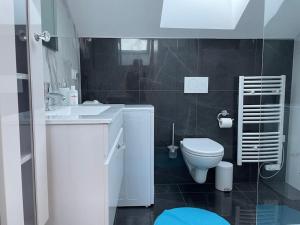 a bathroom with a white toilet and a sink at Loft Bellevue in Saint-Louis +21 photos