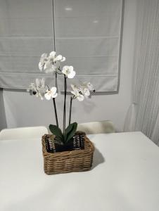 una cesta de mimbre con flores blancas en una mesa en Alojamiento las Dunas alto, en Tabernas
