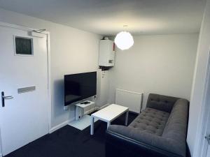 a living room with a couch and a tv at Studio Flat in Angus