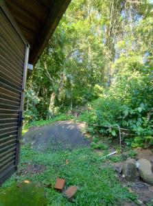een oprit die leidt naar een tuin met bomen bij Sitio Flor do Coriscão Paraty in Paraty
