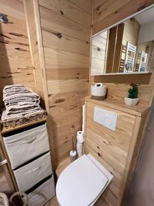 a small bathroom with a toilet and a mirror at Studio front de neige pelevos in Isola +24 photos