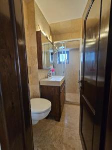 ein Badezimmer mit Toilette, Waschbecken und Dusche in der Unterkunft City Hall Apartament in Craiova
