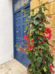 Galeriebild der Unterkunft Follow the Sun Boutique Hostel - Pool, Breakfast & Sea Views in St Julian's
