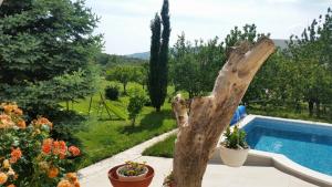 Bazén v ubytovaní MY DALMATIA - Sport and Spa villa Neoric with private heated pool and tennis court alebo v jeho blízkosti